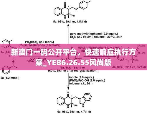 新澳门一码公开平台，快速响应执行方案_YEB6.26.55风尚版