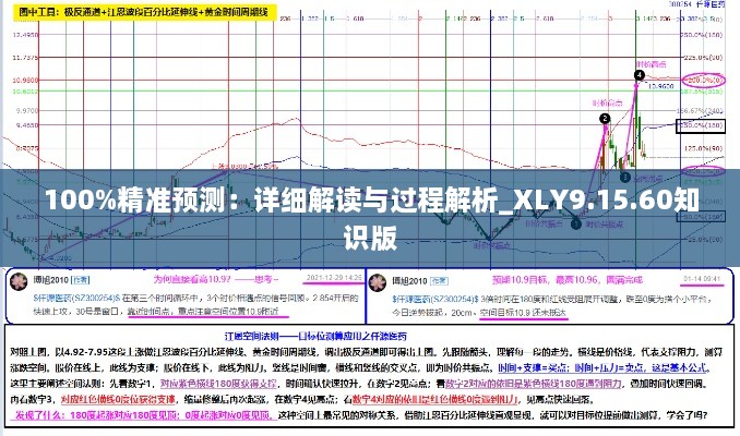 100%精准预测：详细解读与过程解析_XLY9.15.60知识版