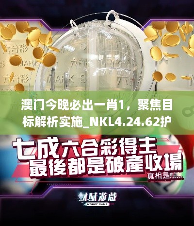 澳门今晚必出一肖1，聚焦目标解析实施_NKL4.24.62护眼版