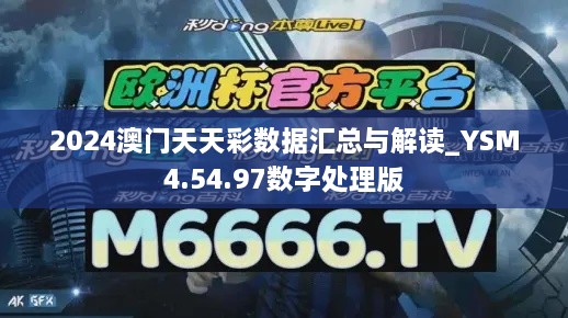 2024澳门天天彩数据汇总与解读_YSM4.54.97数字处理版