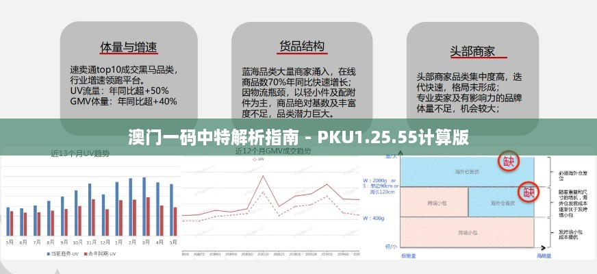 澳门一码中特解析指南 - PKU1.25.55计算版