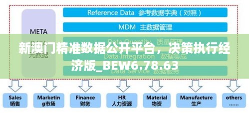 新澳门精准数据公开平台，决策执行经济版_BEW6.78.63