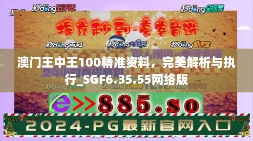 澳门王中王100精准资料，完美解析与执行_SGF6.35.55网络版