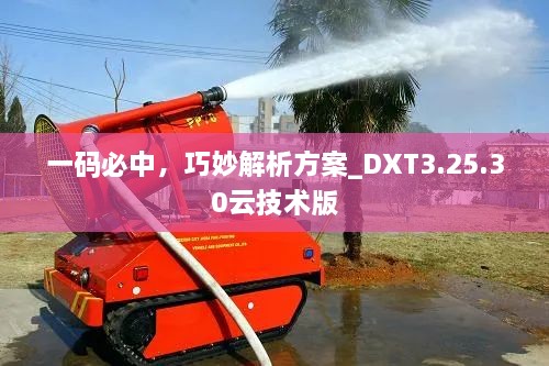 一码必中，巧妙解析方案_DXT3.25.30云技术版