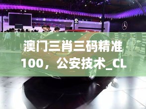 澳门三肖三码精准100，公安技术_CLS2.43.75高清版