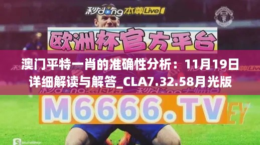 澳门平特一肖的准确性分析：11月19日详细解读与解答_CLA7.32.58月光版