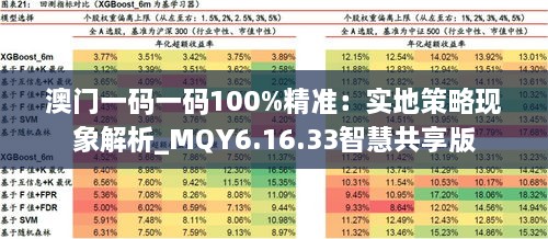 澳门一码一码100%精准：实地策略现象解析_MQY6.16.33智慧共享版