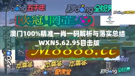 澳门100%精准一肖一码解析与落实总结_WXN5.62.95目击版