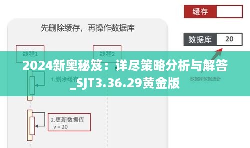 2024新奥秘笈：详尽策略分析与解答_SJT3.36.29黄金版