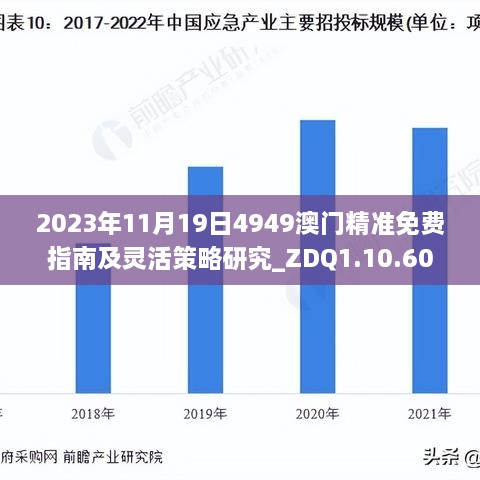 2024年11月20日 第290页