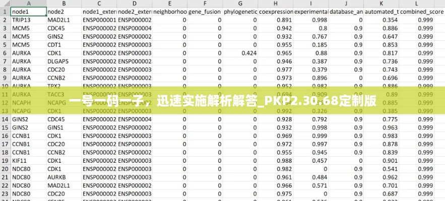 一号一码一子，迅速实施解析解答_PKP2.30.68定制版