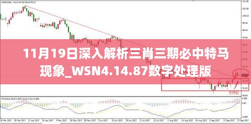 11月19日深入解析三肖三期必中特马现象_WSN4.14.87数字处理版