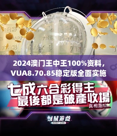 2024澳门王中王100%资料，VUA8.70.85稳定版全面实施计划