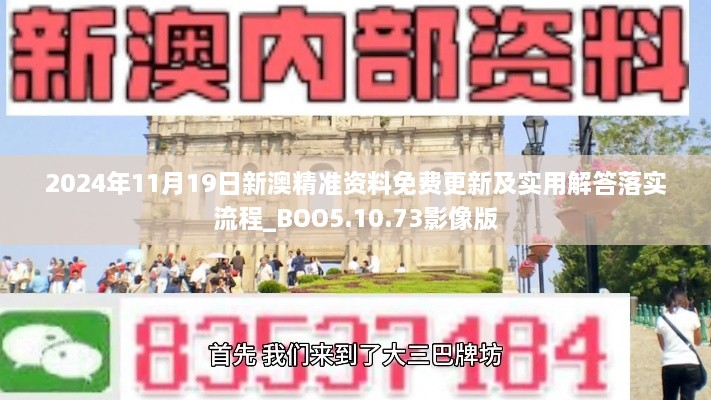 2024年11月19日新澳精准资料免费更新及实用解答落实流程_BOO5.10.73影像版