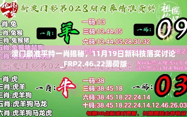 澳门最准平特一肖揭秘，11月19日新科技落实讨论_FRP2.46.22薄荷版