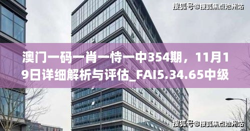 澳门一码一肖一恃一中354期，11月19日详细解析与评估_FAI5.34.65中级版