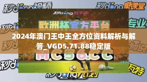 2024年澳门王中王全方位资料解析与解答_VGD5.71.88稳定版