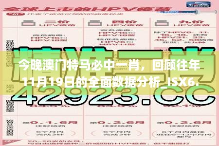 今晚澳门特马必中一肖，回顾往年11月19日的全面数据分析_ISX6.28.62四喜版