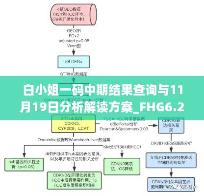 白小姐一码中期结果查询与11月19日分析解读方案_FHG6.25.57跨界版