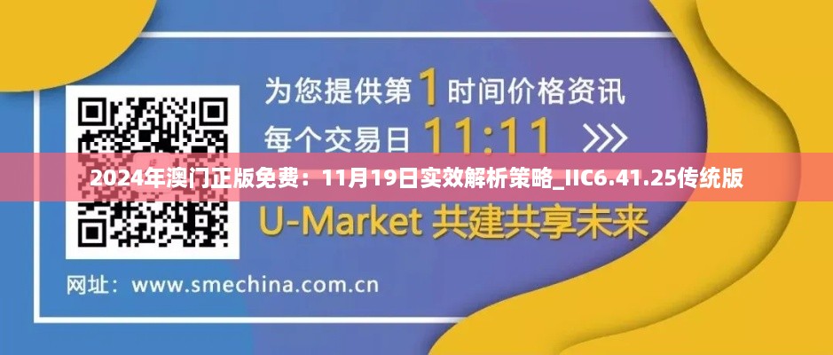 2024年澳门正版免费：11月19日实效解析策略_IIC6.41.25传统版