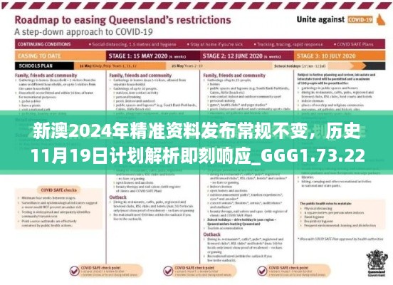 新澳2024年精准资料发布常规不变，历史11月19日计划解析即刻响应_GGG1.73.22直观版