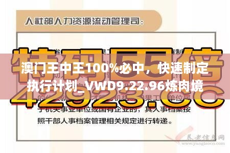 澳门王中王100%必中，快速制定执行计划_VWD9.22.96炼肉境