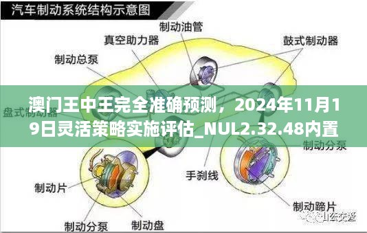 澳门王中王完全准确预测，2024年11月19日灵活策略实施评估_NUL2.32.48内置版