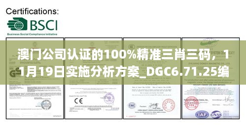 澳门公司认证的100%精准三肖三码，11月19日实施分析方案_DGC6.71.25编程版