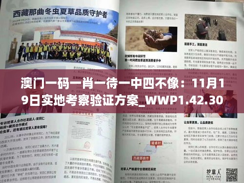 澳门一码一肖一待一中四不像：11月19日实地考察验证方案_WWP1.42.30版本