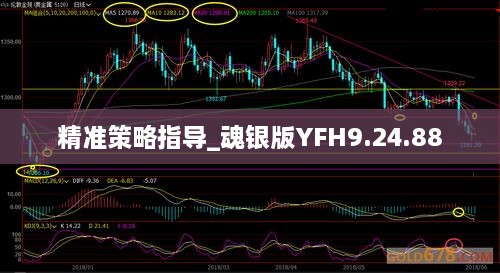 精准策略指导_魂银版YFH9.24.88