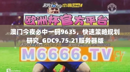 澳门今夜必中一码9635，快速策略规划研究_GDC9.75.21服务器版