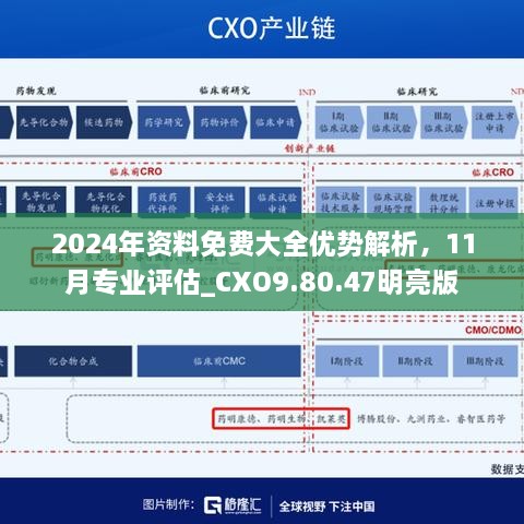 2024年资料免费大全优势解析，11月专业评估_CXO9.80.47明亮版