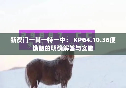 新澳门一肖一特一中： KPG4.10.36便携版的明确解答与实施