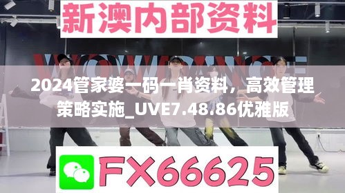 2024管家婆一码一肖资料，高效管理策略实施_UVE7.48.86优雅版