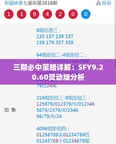 三期必中策略详解：SFY9.20.60灵动版分析