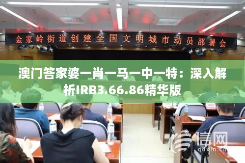 澳门答家婆一肖一马一中一特：深入解析IRB3.66.86精华版