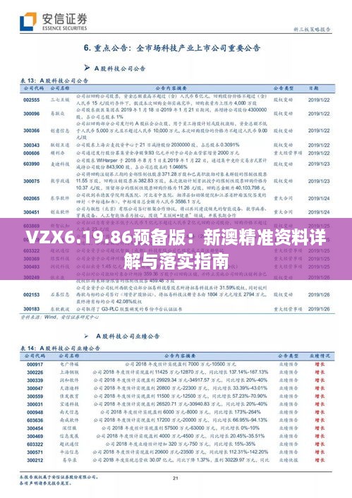 VZX6.19.86预备版：新澳精准资料详解与落实指南