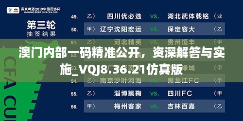 澳门内部一码精准公开，资深解答与实施_VQJ8.36.21仿真版