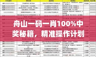 舟山一码一肖100%中奖秘籍，精准操作计划_WFA2.70.70智巧版