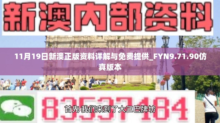 11月19日新澳正版资料详解与免费提供_FYN9.71.90仿真版本