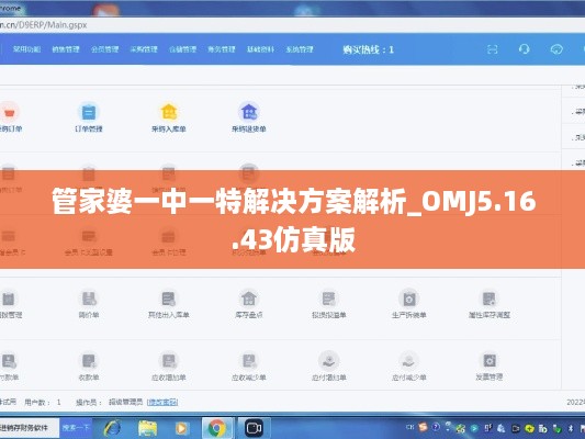 管家婆一中一特解决方案解析_OMJ5.16.43仿真版