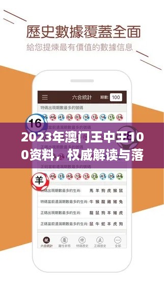 2023年澳门王中王100资料，权威解读与落实_JSG9.60.56模拟版本