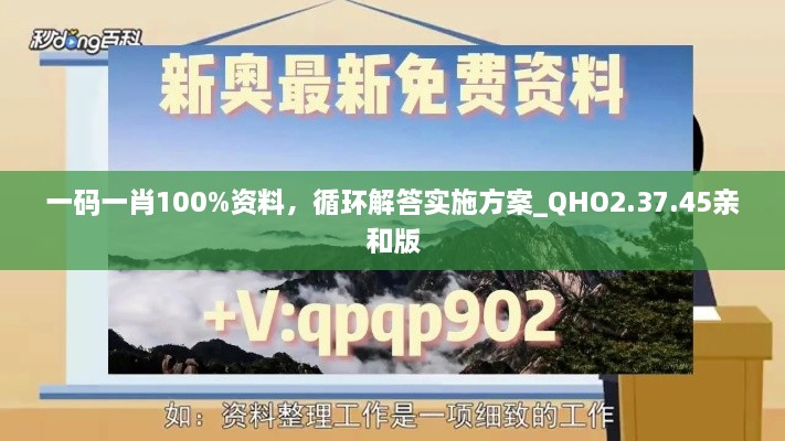 一码一肖100%资料，循环解答实施方案_QHO2.37.45亲和版