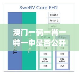 澳门一码一肖一特一中是否公开？数据解析与设计导向_QQZ8.10.40专业版