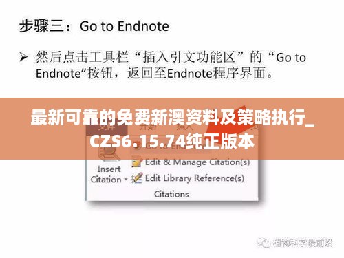 最新可靠的免费新澳资料及策略执行_CZS6.15.74纯正版本