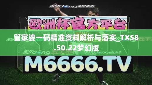 管家婆一码精准资料解析与落实_TXS8.50.22梦幻版