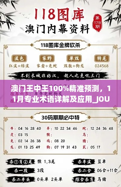 澳门王中王100%精准预测，11月专业术语详解及应用_JOU3.56.71智力版