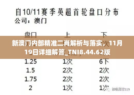 新澳门内部精准二肖解析与落实，11月19日详细解答_TNI8.44.62版