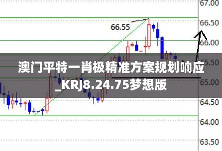 澳门平特一肖极精准方案规划响应_KRJ8.24.75梦想版