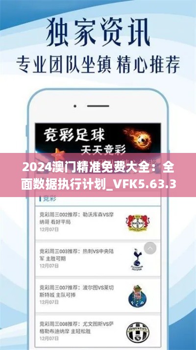 2024澳门精准免费大全：全面数据执行计划_VFK5.63.37精英版